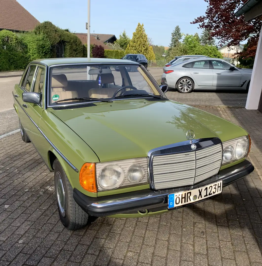 Mercedes-Benz 230 E Verde - 1