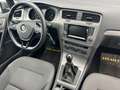 Volkswagen Golf 1.6 TDI Rabbit *Wenig KM*1-Besitz*Finanzierung* Grau - thumbnail 13