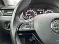 Skoda Octavia Combi 2,0 TDI | AHK Silber - thumbnail 40