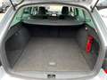 Skoda Octavia Combi 2,0 TDI | AHK Silber - thumbnail 15