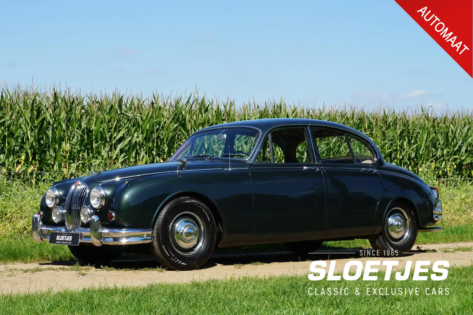 Jaguar MK II 3.4 Litre |6 cilinder |210 pk |Automaat |Oudere Re Зелений - 1