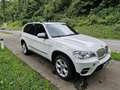 BMW X5 X5 xDrive40d Aut. Weiß - thumbnail 4