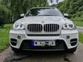 BMW X5 X5 xDrive40d Aut. Weiß - thumbnail 9