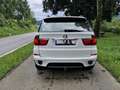 BMW X5 X5 xDrive40d Aut. Weiß - thumbnail 6