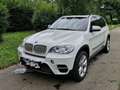 BMW X5 X5 xDrive40d Aut. Weiß - thumbnail 5