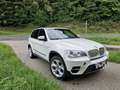 BMW X5 X5 xDrive40d Aut. Weiß - thumbnail 1