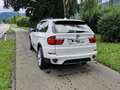 BMW X5 X5 xDrive40d Aut. Weiß - thumbnail 7