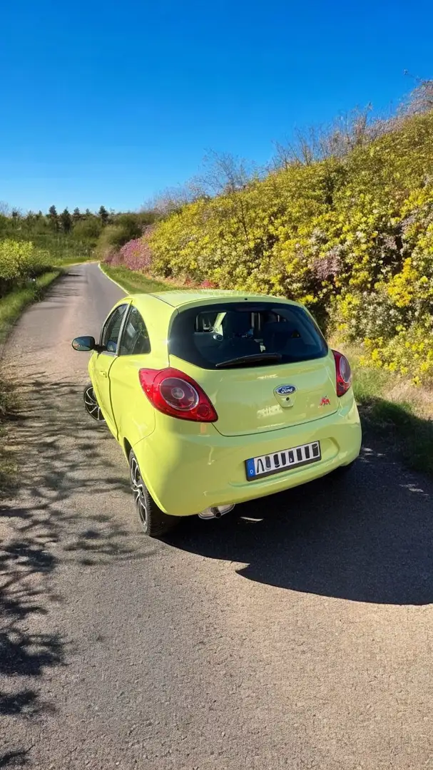Ford Ka/Ka+ Ka 1.2 Grün - 2