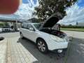 Subaru OUTBACK Outback IV  2.5i Trend bi-fuel cvt Білий - thumbnail 6