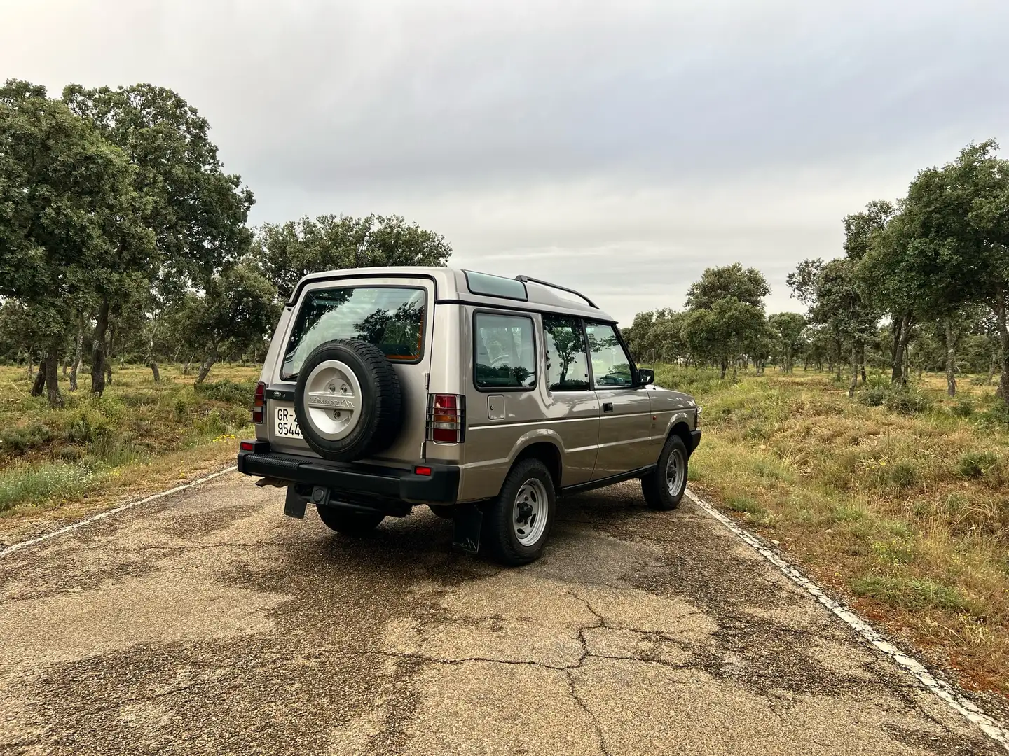 Land Rover Discovery Discovery 2.5 TDI 125.000 km 1 propietario Gri - 2