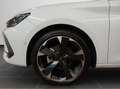 CUPRA Leon 2.0 TDI DSG Navi 5J-Garantie Edge Paket Win Weiß - thumbnail 8