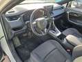 Toyota RAV4 2.5l PLUG-IN 300PH (e-CVT) Advance Blanco - thumbnail 7