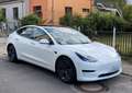 Tesla Model 3 Mwst. Model 3 Standard Range RWD Plus 57,5kWh RWD Plus Weiß - thumbnail 1
