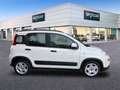 Fiat Panda 1.0 Gse City Live Hybrid Blanc - thumbnail 4