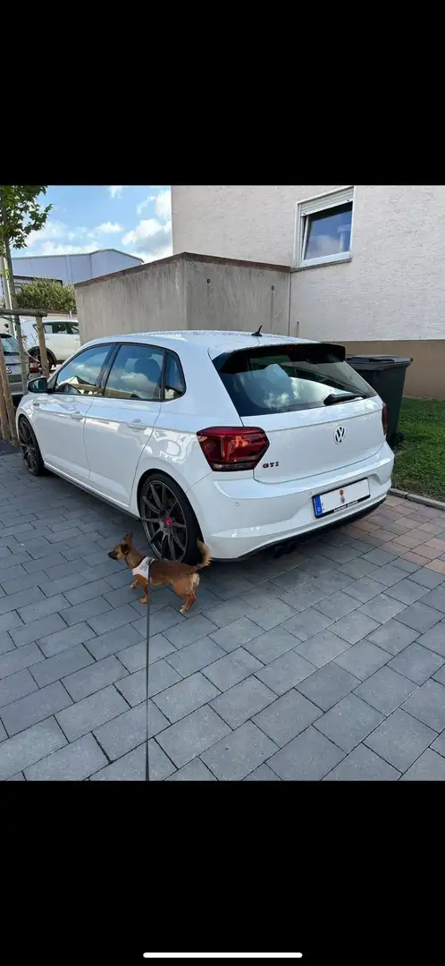 Volkswagen Polo GTI 2.0 TSI OPF - 2