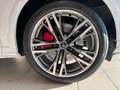 Audi Q5 Q5 2.0 tdi mhev  S line P.CONSEGNA MMI PASSEGGERO Weiß - thumbnail 16