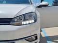 Volkswagen Golf Business 1.5 TGI BlueMotion Bianco - thumbnail 14