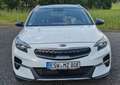Kia XCeed XCeed 1.6 GDI DCT6 OPF Plug-in-Hybrid Platinum Edi Weiß - thumbnail 4