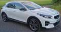 Kia XCeed XCeed 1.6 GDI DCT6 OPF Plug-in-Hybrid Platinum Edi Weiß - thumbnail 1