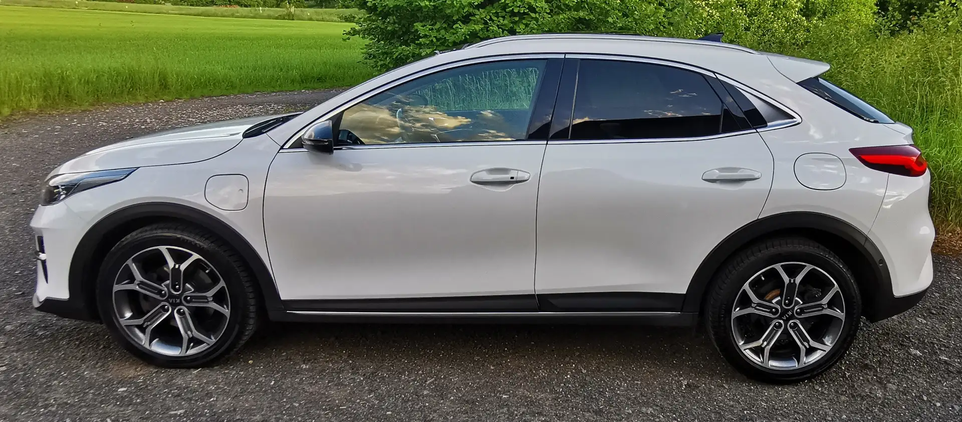 Kia XCeed XCeed 1.6 GDI DCT6 OPF Plug-in-Hybrid Platinum Edi Weiß - 2