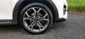 Kia XCeed XCeed 1.6 GDI DCT6 OPF Plug-in-Hybrid Platinum Edi Weiß - thumbnail 12