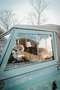 Land Rover Series Grün - thumbnail 6