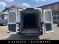 Ford Transit 310 L2H2 Trend KLIMA Kamera Tempomat Weiß - thumbnail 16