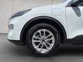 Ford Kuga 2.5 Duratec PHEV TITANIUM Weiß - thumbnail 17