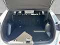 Ford Kuga 2.5 Duratec PHEV TITANIUM Weiß - thumbnail 5