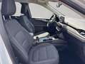 Ford Kuga 2.5 Duratec PHEV TITANIUM Weiß - thumbnail 14