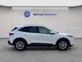 Ford Kuga 2.5 Duratec PHEV TITANIUM Weiß - thumbnail 6