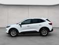 Ford Kuga 2.5 Duratec PHEV TITANIUM Weiß - thumbnail 2
