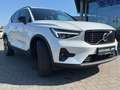 Volvo XC40 XC40 B4 Autom. Plus Dark 20"|AHK|360CAM|CONNECT Weiß - thumbnail 8