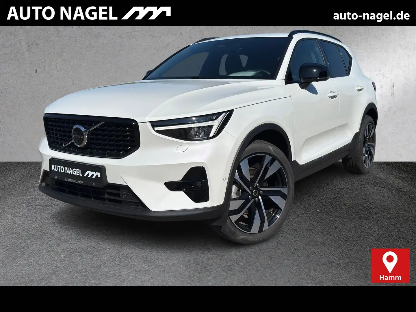 Volvo XC40 XC40 B4 Autom. Plus Dark 20"|AHK|360CAM|CONNECT Weiß - 1