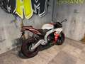 Aprilia RS 125 Neuheit 2025 Euro 5+ AKTIONSPREIS Blanco - thumbnail 7