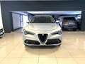 Alfa Romeo Stelvio Stelvio 2.2 Turbodiesel 210 CV AT8 Q4 Ti Grau - thumbnail 2