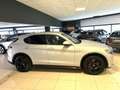 Alfa Romeo Stelvio Stelvio 2.2 Turbodiesel 210 CV AT8 Q4 Ti Grau - thumbnail 4