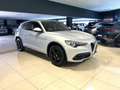 Alfa Romeo Stelvio Stelvio 2.2 Turbodiesel 210 CV AT8 Q4 Ti Grau - thumbnail 3