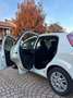 Fiat Punto Evo 5p 1.4 Emotion easypower Gpl 77cv - thumbnail 6