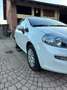 Fiat Punto Evo 5p 1.4 Emotion easypower Gpl 77cv - thumbnail 3