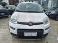 Fiat Panda 0.9 TwinAir Turbo S&S 4x4 Bianco - thumbnail 2