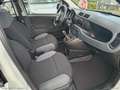 Fiat Panda 0.9 TwinAir Turbo S&S 4x4 Bianco - thumbnail 9