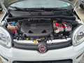 Fiat Panda 0.9 TwinAir Turbo S&S 4x4 Weiß - thumbnail 21