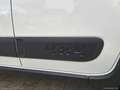 Fiat Panda 0.9 TwinAir Turbo S&S 4x4 Bianco - thumbnail 13