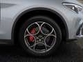 Alfa Romeo Stelvio Sprint 2.0 Turbo AT8 - Q4 Blau - thumbnail 20