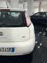 Fiat Punto Punto 5p 1.3 mjt II 16v Lounge eco s Wit - thumbnail 5