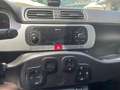 Fiat Panda Panda 1.3 mjt 16v Cross 4x4 Gris - thumbnail 11