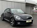 Volkswagen Beetle 2.0TDI Exclusive Sport Automatik 2.Hd Xen Noir - thumbnail 1