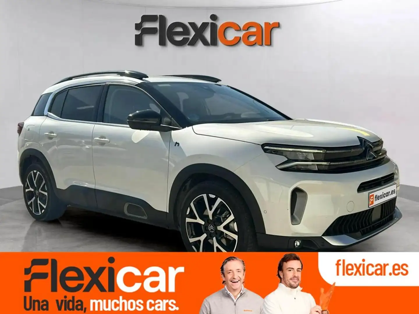 Citroen C5 Aircross 225 e-EAT8 Shine Weiß - 1