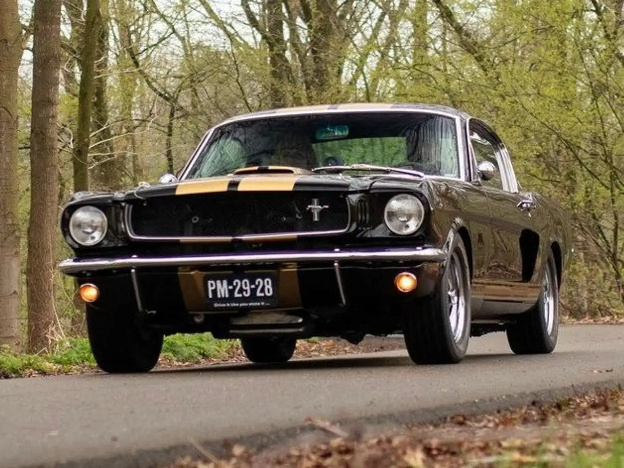 Ford Mustang fastback Hertz tribute, foto 7
